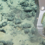 A remotely operated vehicle collects a polymetallic nodule from the seafloor in the Cook Islands exclusive economic zone during Dive 04 of the 2026 Cook Islands ROV Exploration, at a starting depth of approximately 2,900 meters. Image courtesy of NOAA Ocean Exploration, public domain, modified, https://oceanexplorer.noaa.gov/expedition-feature/increasing-understanding-cook-islands/