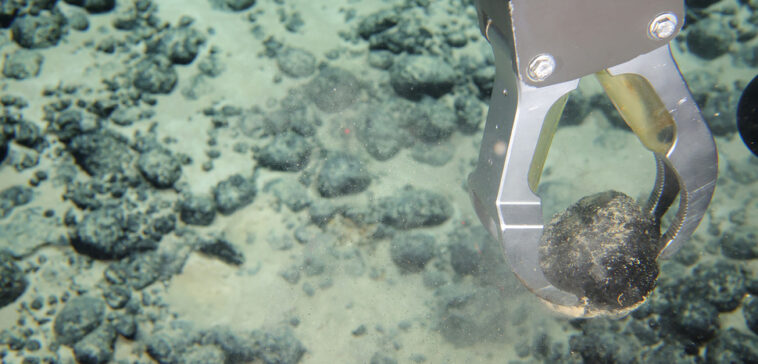 A remotely operated vehicle collects a polymetallic nodule from the seafloor in the Cook Islands exclusive economic zone during Dive 04 of the 2026 Cook Islands ROV Exploration, at a starting depth of approximately 2,900 meters. Image courtesy of NOAA Ocean Exploration, public domain, modified, https://oceanexplorer.noaa.gov/expedition-feature/increasing-understanding-cook-islands/