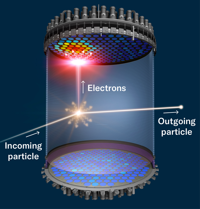 Les scientifiques ont-ils aperçu la première particule de matière noire ? un diagramme montre une particule entrant dans le détecteur, créant un éclair de lumière et des électrons dérivant vers le haut.