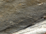 Un motif en nid d'abeille imprimé dans la texture du sable compacté