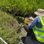 Rencontrez «l'amibe de feu», une survivante record de la chaleur extrême Une personne portant un gilet jaune vif s’accroupit près d’une source chaude pour prélever un échantillon d’eau.