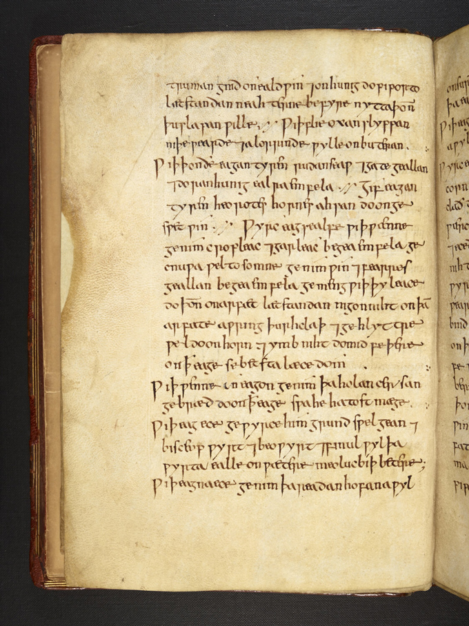 Une vieille page d'un livre, avec une écriture indéchiffrable d'aspect médiéval