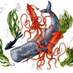 Une baleine pourrait-elle avaler une personne entière ? Une baleine pourrait-elle avaler une personne entière ?