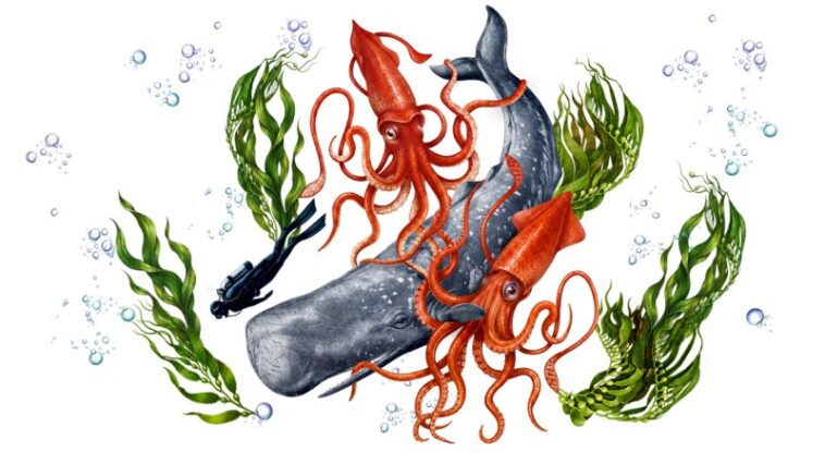 Une baleine pourrait-elle avaler une personne entière ?