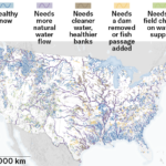 Les rivières des États-Unis contigus sont codées par couleur sur cette carte en fonction de leur état de santé pour la vie aquatique et des interventions, telles que la suppression d'un barrage, qui pourraient être nécessaires pour améliorer leur santé.