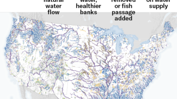 Les rivières des États-Unis contigus sont codées par couleur sur cette carte en fonction de leur état de santé pour la vie aquatique et des interventions, telles que la suppression d'un barrage, qui pourraient être nécessaires pour améliorer leur santé.