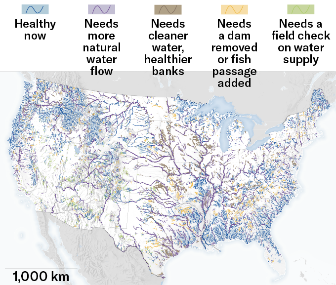 Les rivières des États-Unis contigus sont codées par couleur sur cette carte en fonction de leur état de santé pour la vie aquatique et des interventions, telles que la suppression d'un barrage, qui pourraient être nécessaires pour améliorer leur santé.