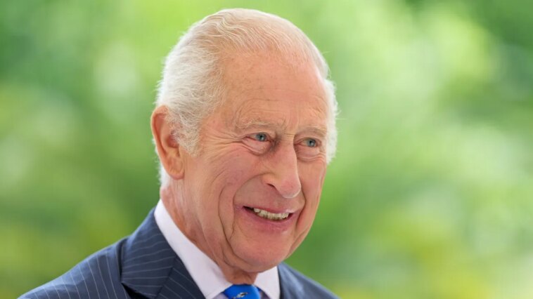 La prochaine impression de Burberry ? Une aquarelle du roi Charles III La prochaine impression de Burberry ? Une aquarelle du roi Charles III