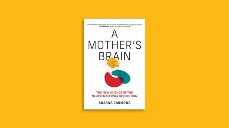 « A Mother's Brain » explore les neurosciences de la maternité