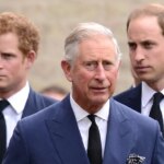 Comment le roi Charles III envisage de réunir à nouveau le prince Harry et le prince William