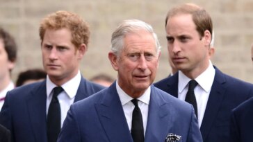 Comment le roi Charles III envisage de réunir à nouveau le prince Harry et le prince William