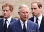 Comment le roi Charles III envisage de réunir à nouveau le prince Harry et le prince William