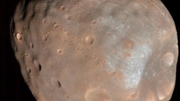 Le phobos lunaire de Mars ressemble à une pomme de terre grumeleuse.