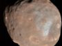 Le phobos lunaire de Mars ressemble à une pomme de terre grumeleuse.