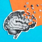Les vaisseaux sanguins cicatrisés pourraient être un indice du risque d'Alzheimer d'APOE4