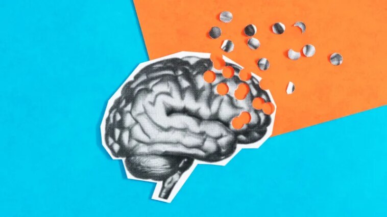 Les vaisseaux sanguins cicatrisés pourraient être un indice du risque d'Alzheimer d'APOE4