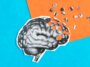 Les vaisseaux sanguins cicatrisés pourraient être un indice du risque d'Alzheimer d'APOE4