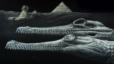 Une illustration d'Herugavialis, de son crâne, du Grand Sphinx de Gizeh et des pyramides